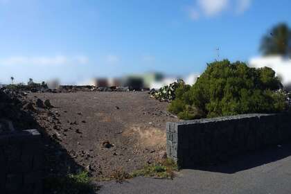 Grundstück/Finca zu verkaufen in Tajaste, Tinajo, Lanzarote. 